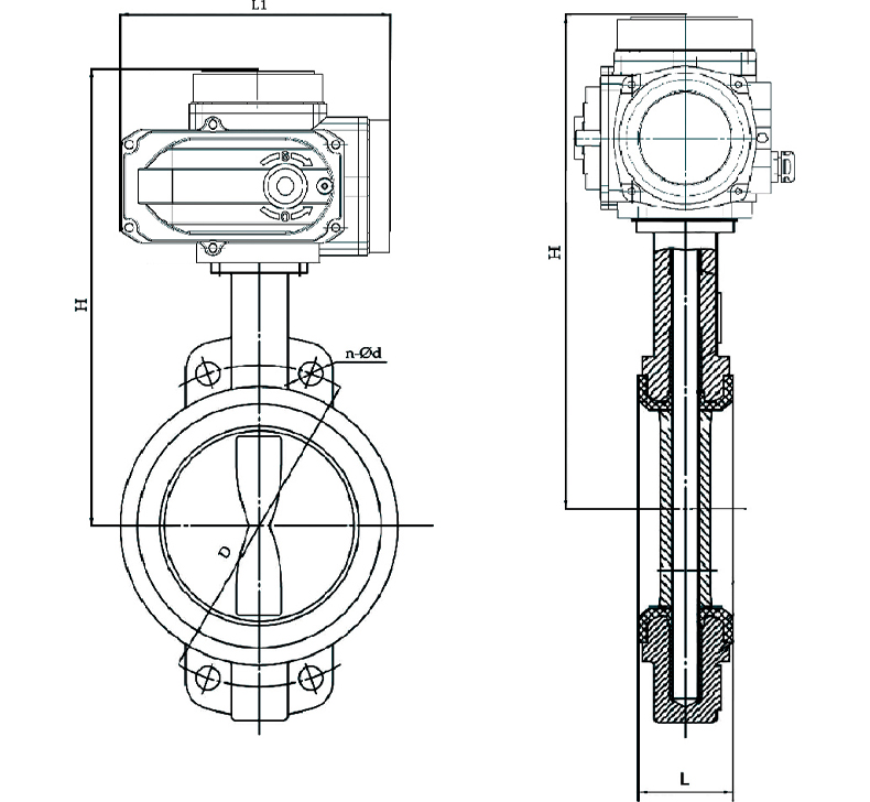 D971X-16P电动对夹蝶阀结构图.jpg