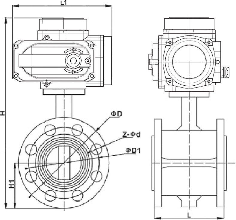 D941X-16P电动对夹蝶阀结构图.jpg