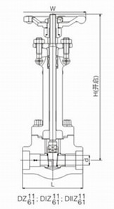DZ61Y锻钢低温闸阀(图1)